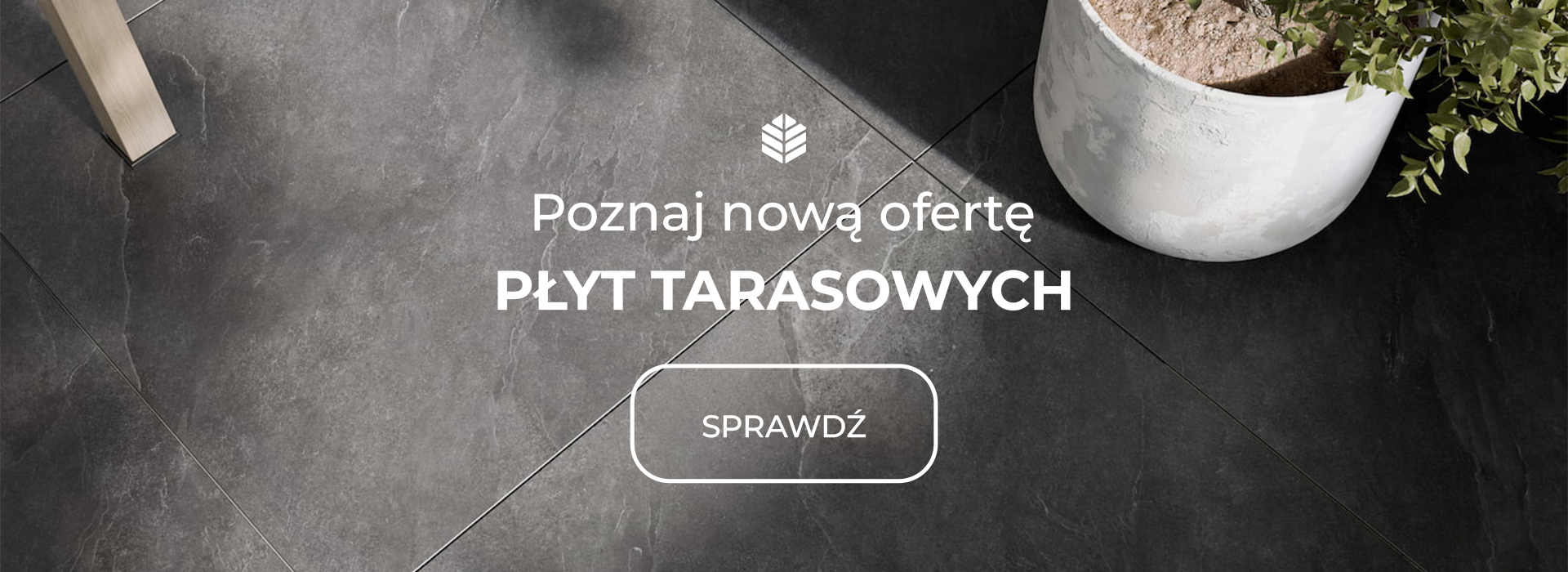 Nowa oferta płyt tarasowych